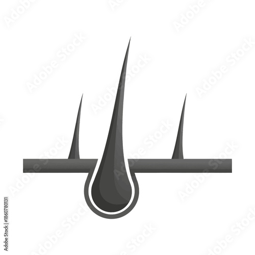 Close-up illustration of a hair follicle with three strands of hair emerging from the skin.