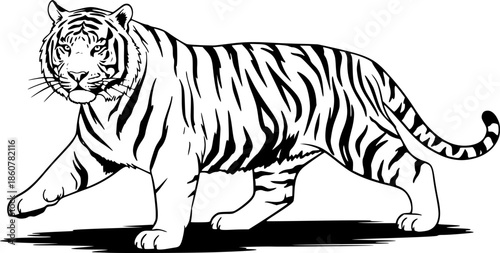 tiger illustration in brush stroke painting,
