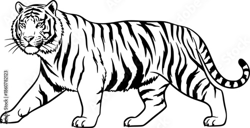 tiger illustration in brush stroke painting,
