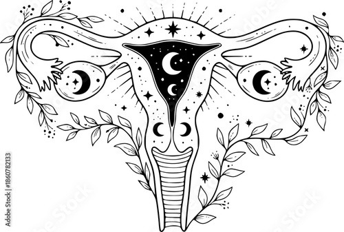 Artistic Illustration of the Female Reproductive System with Celestial and Botanical Elements
