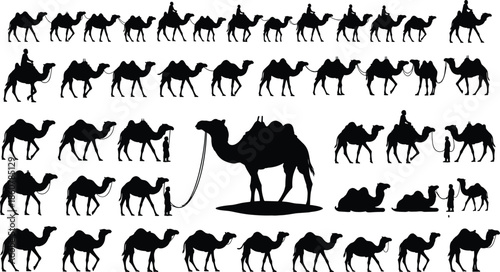 Large set of camel silhouettes vector illustration, black desert animals collection with riders and caravans, isolated on white background for travel design.