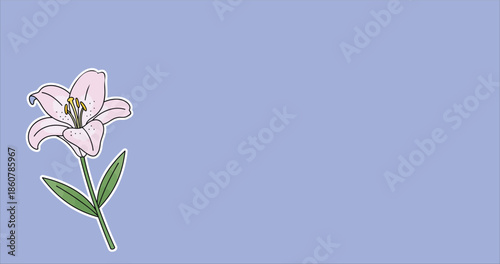 A delicate pink lily flower with green leaves illustrated on a soft pastel blue background.