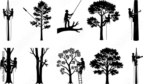 Black vector silhouettes of professional arborists and tree surgeons pruning branches, climbing trees with ropes, and using chainsaws for industrial forestry and landscaping,