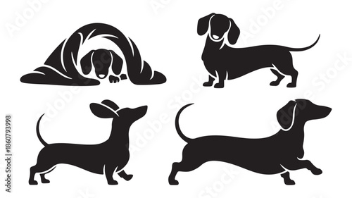Dachshund Dogs Black Silhouettes in Various Poses Isolated on White Vector Illustration