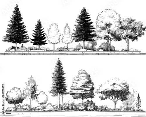Illustration vectorielle dessinée à la main d'arbres et d'arbustes variés, idéale pour les plans d'aménagement paysager et les ressources graphiques transparentes.