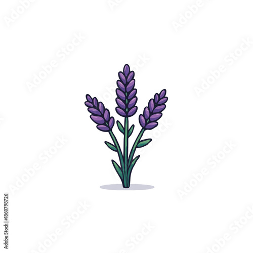 flat icon illustration color 8