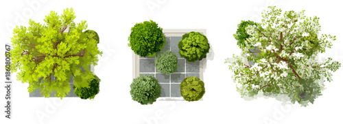 Trois groupes de plantes vertes et fleuries, vus du dessus, isolés sur fond blanc, idéaux pour des designs architecturaux ou paysagers transparents.