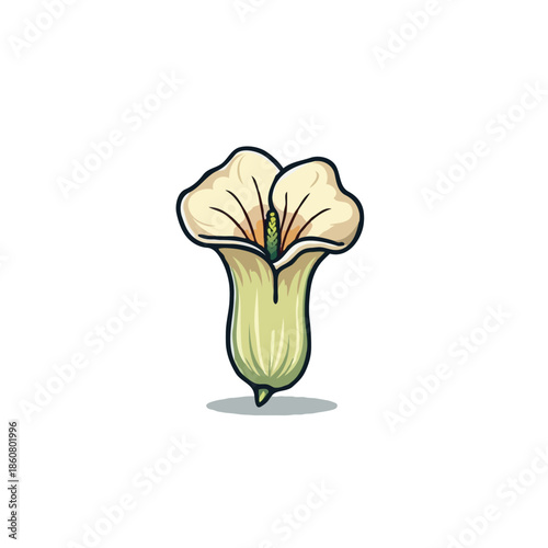 flat icon illustration color 9