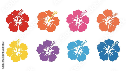 Collection of brightly colored hibiscus flowers isolated on a white background