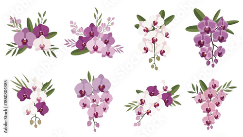 Collection of beautiful purple and white orchid floral arrangements on a white background