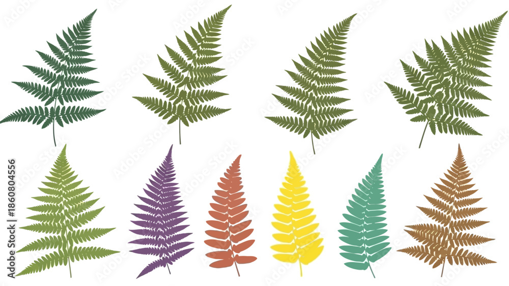 Obraz premium Collection of colorful fern leaves isolated on white background for design elements