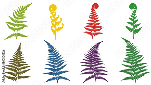 Collection of colorful fern leaves on a white background vector illustration