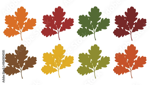 Collection of colorful oak leaves representing different seasons and a hint of autumn transition