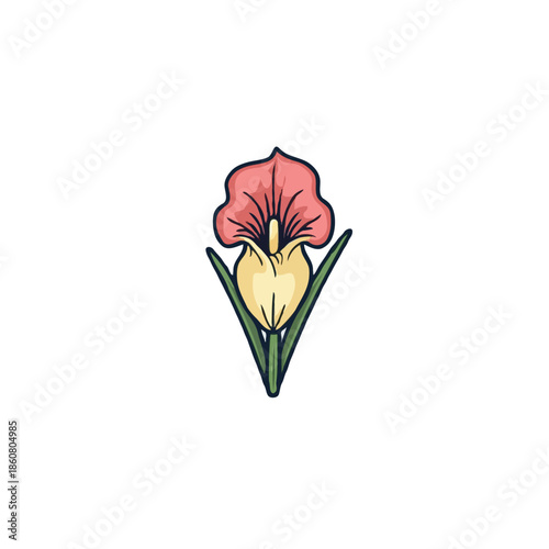 flat icon illustration color 10