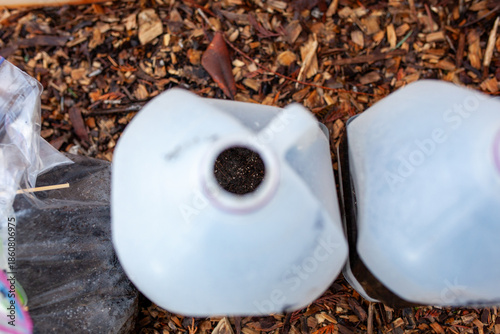 Winter Sowing garden seeds can be done in most growing zones. Using plastic jugs or baggies, creating a mini greenhouse to start seeds with recycled material or very budget friendly supplies.