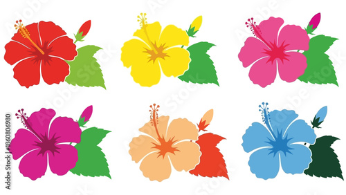 Vibrant Collection of Colorful Hibiscus Flowers with Buds and Leaves
