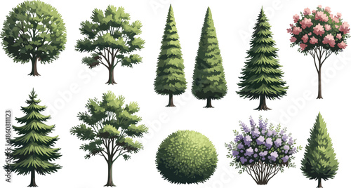 Set of colorful watercolor style illustrations featuring various deciduous, evergreen, and flowering trees and shrubs for landscape design and garden projects.