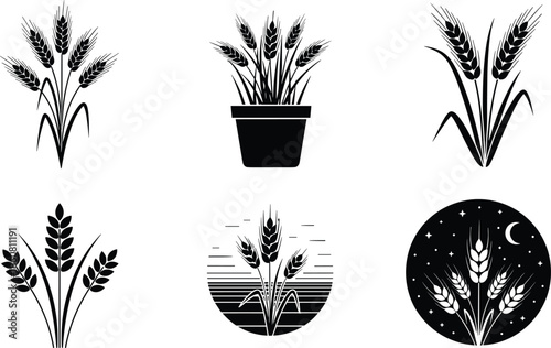 Wheat plant vector illustration set, agricultural grain icons collection, barley and cereal silhouettes, organic farming symbols, minimal black