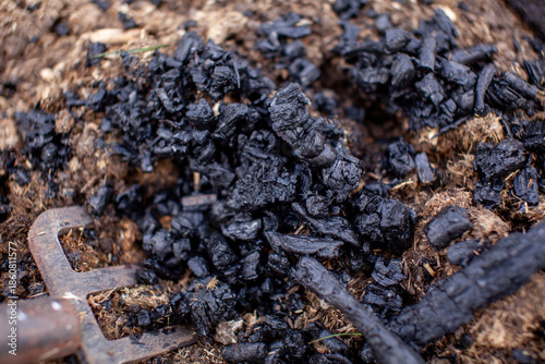 Foto Close-up of homemade biochar with a garden trowel and spreading it into soil in a vegetable garden