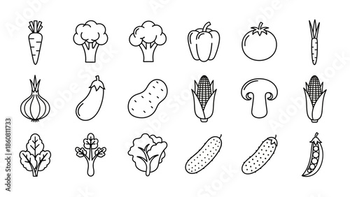 Set of delicious and healthy fresh vegetable icons for cooking and nutrition