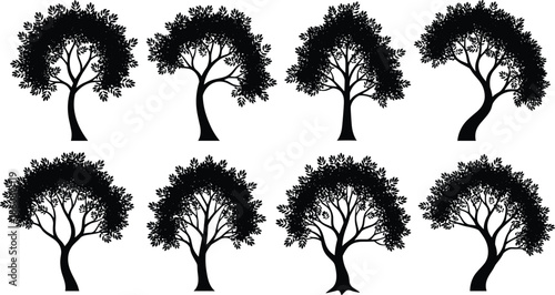 Collection of elegant tree silhouettes, natural forest foliage icons, black botanical shapes, isolated vector illustration set for landscape design, eco nature decoration elements