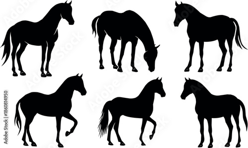 Horse Silhouette Set Collection, Black Horse Vector Illustration on White Background