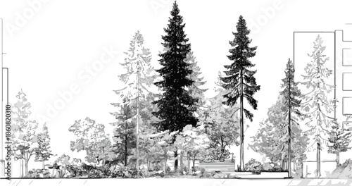 手描きスケッチのタッチで描かれた、様々な種類の樹木と低木が連なるモノクロームの景観イラスト。建築や都市デザインの背景に最適な、透明感のある表現。