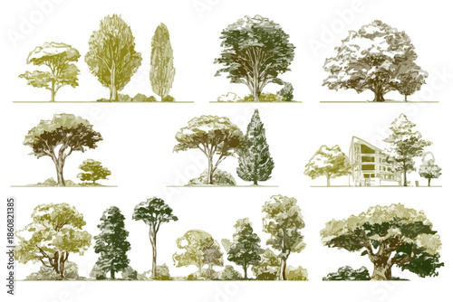 手描きスケッチ風に描かれた様々な種類の木々のイラストセット。自然景観デザインや環境関連プロジェクトに最適な、ビンテージ感あふれるコレクション。