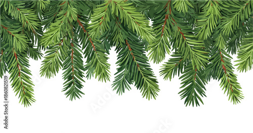 白い透明な背景に広がる、クリスマスや冬のホリデーシーズンを彩る緑豊かな松の枝の美しいボーダーデザイン要素。