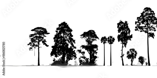 様々な種類の樹木のシルエットが白い背景に並び、グラフィックデザインや環境テーマの素材として活用できる透明感のあるイラストレーション。