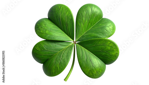 A detailed image of a four-leaf clover, with veins visible, against a black background
