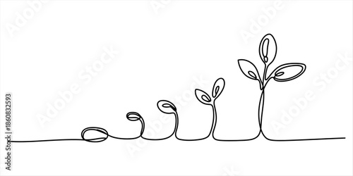 A continuous line art drawing illustrating the various stages of plant growth from seed to seedling Vector, illustration
