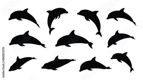 Dolphin silhouettes collection isolated on white background showing jumping swimming and playful ocean wildlife poses for marine design use