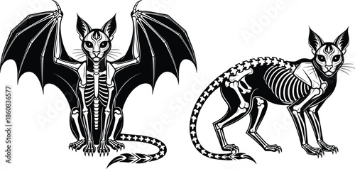 Fantasy Skeleton Cats with Bat Wings and Starry Tails – Gothic Halloween Vector for Mythical Creatures, Anatomy, and Dark Art Themes