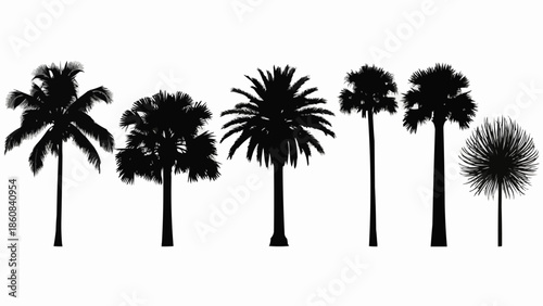 Collection of diverse palm tree silhouettes against a white background.