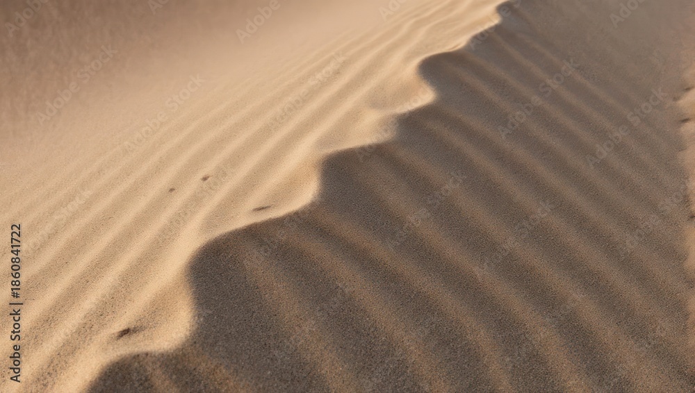 Fototapeta premium Sand Dune Ripples - A Study in Light and Shadow.
