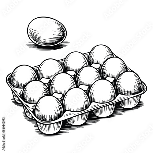 The egg box with fresh eggs vector sketch illustration isolated on white background ideal for healthy food design packaging and culinary artwork
