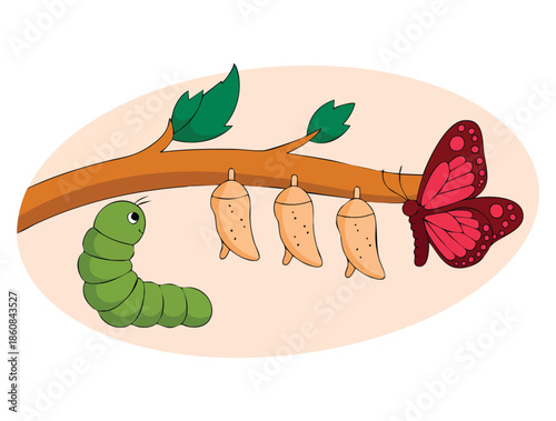 Transformation concept flat vector illustration showing changing evolution metaphor modification process and time development for creative idea themes