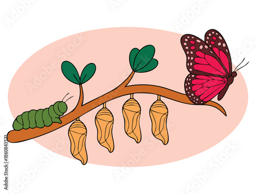 Transforming concept transformation metaphor changing and evolution modification process with time development flat vector illustration creative design