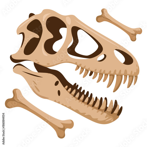Tyrannosaurus Rex dinosaur skull and bones vector illustration ancient skeleton prehistoric reptile paleontology archaeology concept perfect for science design