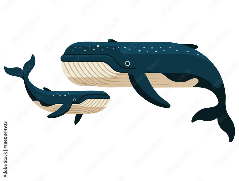 Obraz premium Vector flat sea animals illustration isolated on white background featuring big whale with baby whale perfect for marine life themed artwork and cute ocean design