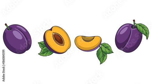 Vector illustration abstract plum logo whole ripe fruit with stem leaf cut sliced background ideal for tag label peel fruit pattern fresh sweet food design