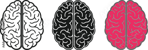 Stylized human brain illustration set, color variation icons, anatomical comparison, neuroscience design elements, flat vector illustration