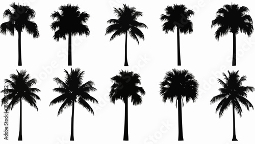Collection of Silhouetted Palm Trees on White Background.