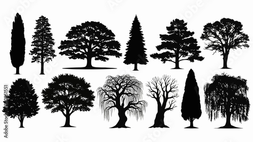 Collection of Silhouetted Trees in Various Shapes and Sizes.