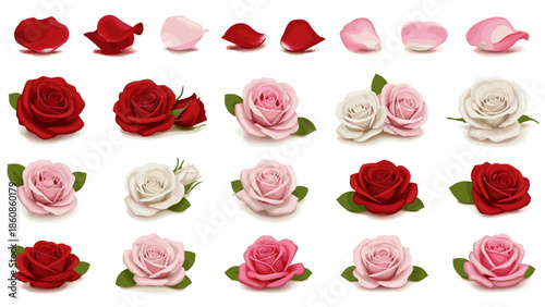 Collection of red and pink roses with green leaves