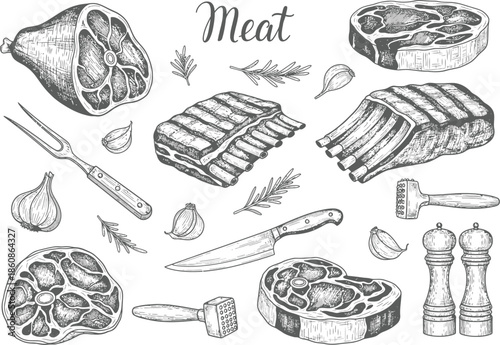 Collection of raw meats and butchery tools in vintage sketch style