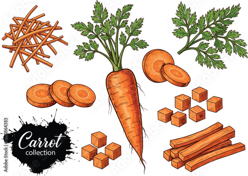 Carrot collection with whole root, slices, sticks, and cubes