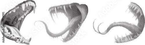 Abstract monochrome liquid splash forms with dynamic curved motion on a white background. Organic fluid shapes create a dramatic artistic effect. Ideal for modern design, overlays, motion graphics, an