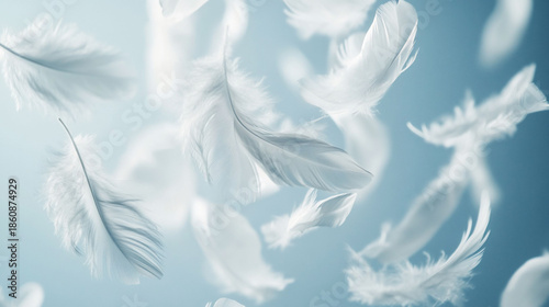 White Feathers Floating Light Blue Background Soft Gentle Calm Serenity